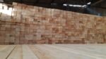deodar-wood-1614234748-5734625