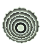 Screenshot 2024-10-17 142248
