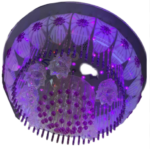 Screenshot 2024-10-17 144004