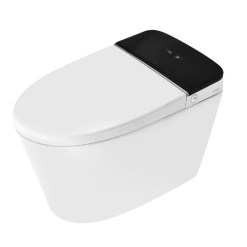 0043349_automatic-rimless-floor-mounted-wc_960