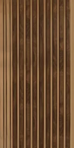 13243