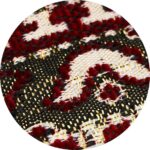 81kl9BUrlGL._SX569_