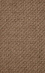 Screenshot-2024-11-15-105059