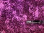 Purple velvet carpet