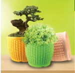 pixelcut-export - 2024-11-22T113302.411