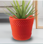 pixelcut-export - 2024-11-22T173650.619
