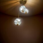 pixelcut-export - 2024-11-25T133448.161