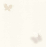 Screenshot 2024-12-11 171917