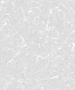 Screenshot 2024-12-12 180233