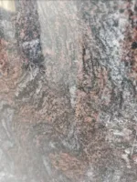Screenshot-2025-01-20-221207