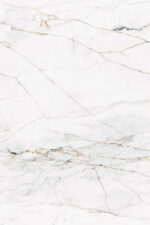 1683797124.-white_1
