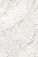 1683801937.-white-1