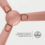 Aura2primepl03_3