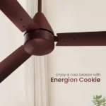 ENERGIONCookiePL02_1