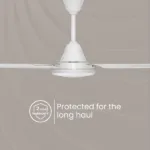 HsRIVIERAPLwhite5