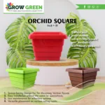 Orchid-Square-01-scaled