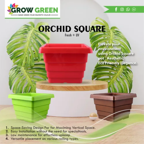 Orchid-Square-01-scaled