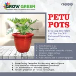 Petu-Pots-03