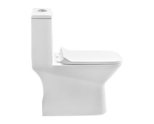 S1013207-2 (1)