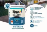 alldry-wall-n-roof-10-waterproof-coating-damp-proof-1000x1000 (2)