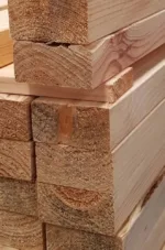 malaysian-sal-wood-1000x1000 (1)