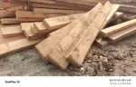 product-jpeg-1000x1000
