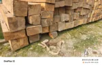 product-jpeg-1000x1000 (5)