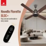FHCFVSTSBW52_1-1