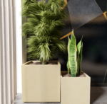 Screenshot 2025-03-04 102303