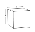 Screenshot 2025-03-04 102859