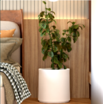 Screenshot 2025-03-04 110018