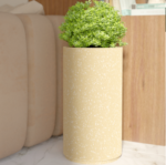 Screenshot 2025-03-04 113850