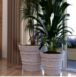 Screenshot 2025-03-04 114404