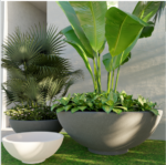 Screenshot 2025-03-04 122120