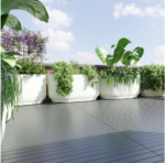 Screenshot 2025-03-04 122902