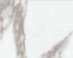 Screenshot 2025-03-28 131434