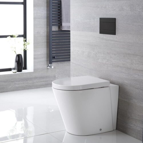 Back to Wall Toilet