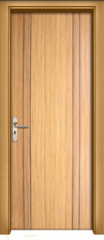 Flush Door
