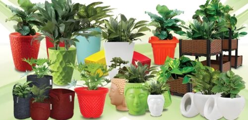 Pots & Planters