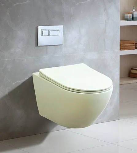 Wall-Mounted Toilet Closets