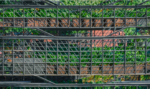 Screenshot 2025-04-22 120651