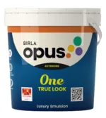 birlaopus-one-truelook-websitemock