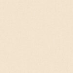 1677491051.-beige