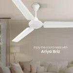 Ariyabrize0.2opelwhitepl4