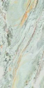 81