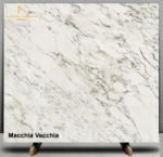 Screenshot 2026-02-24 225243