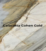 Screenshot 2026-02-24 225304