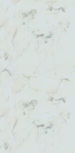 129016854489356475e8e741505