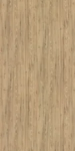 14584