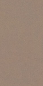 1677494387.-camel m1